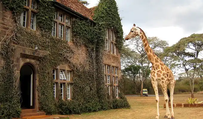 Tour culturale a Nairobi tra Museo Karen Blixen, Bomas of Kenya e Kazuri Beads